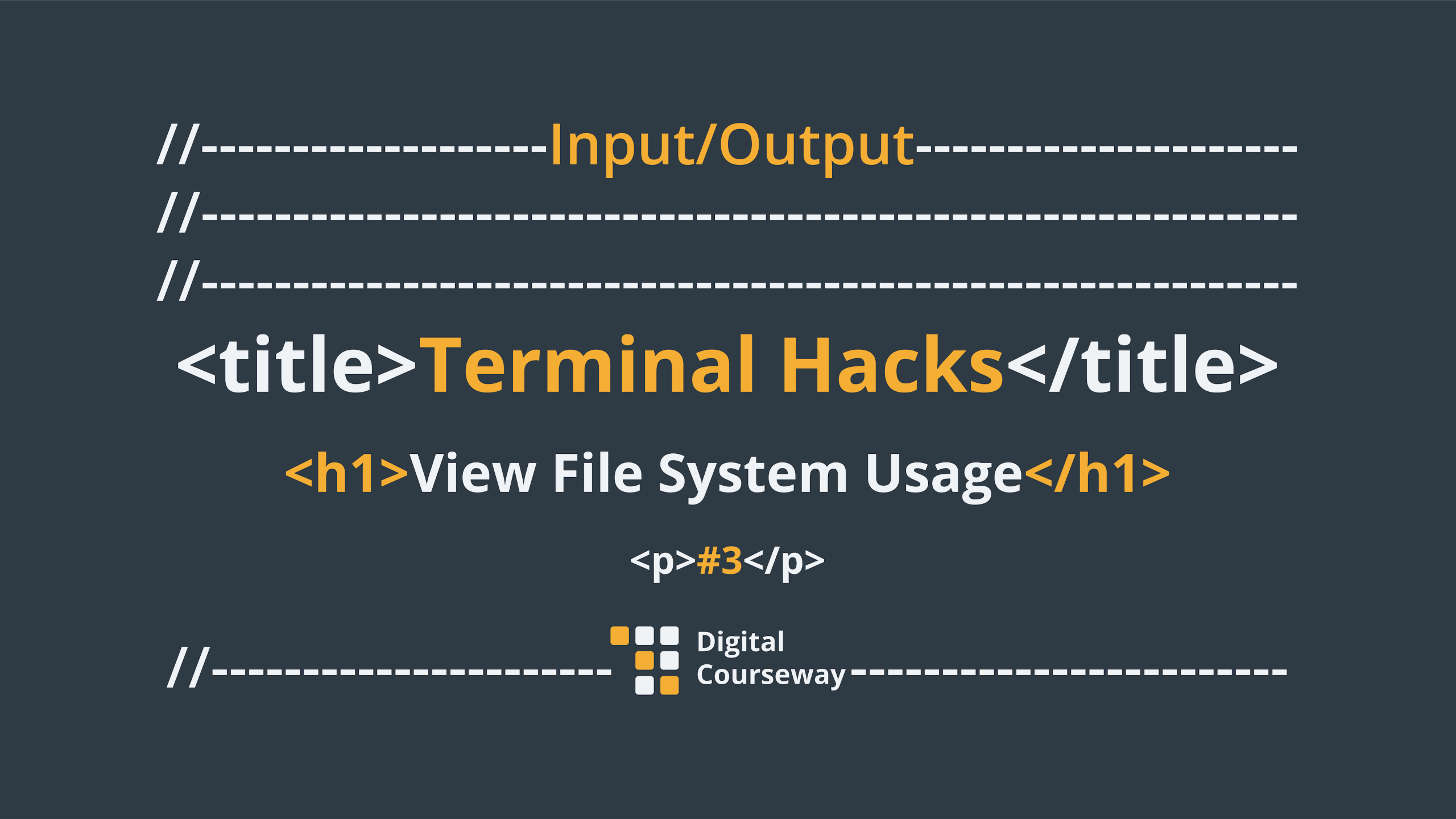 Input/Output #3 Terminal Hacks: View File System Usage artwork.