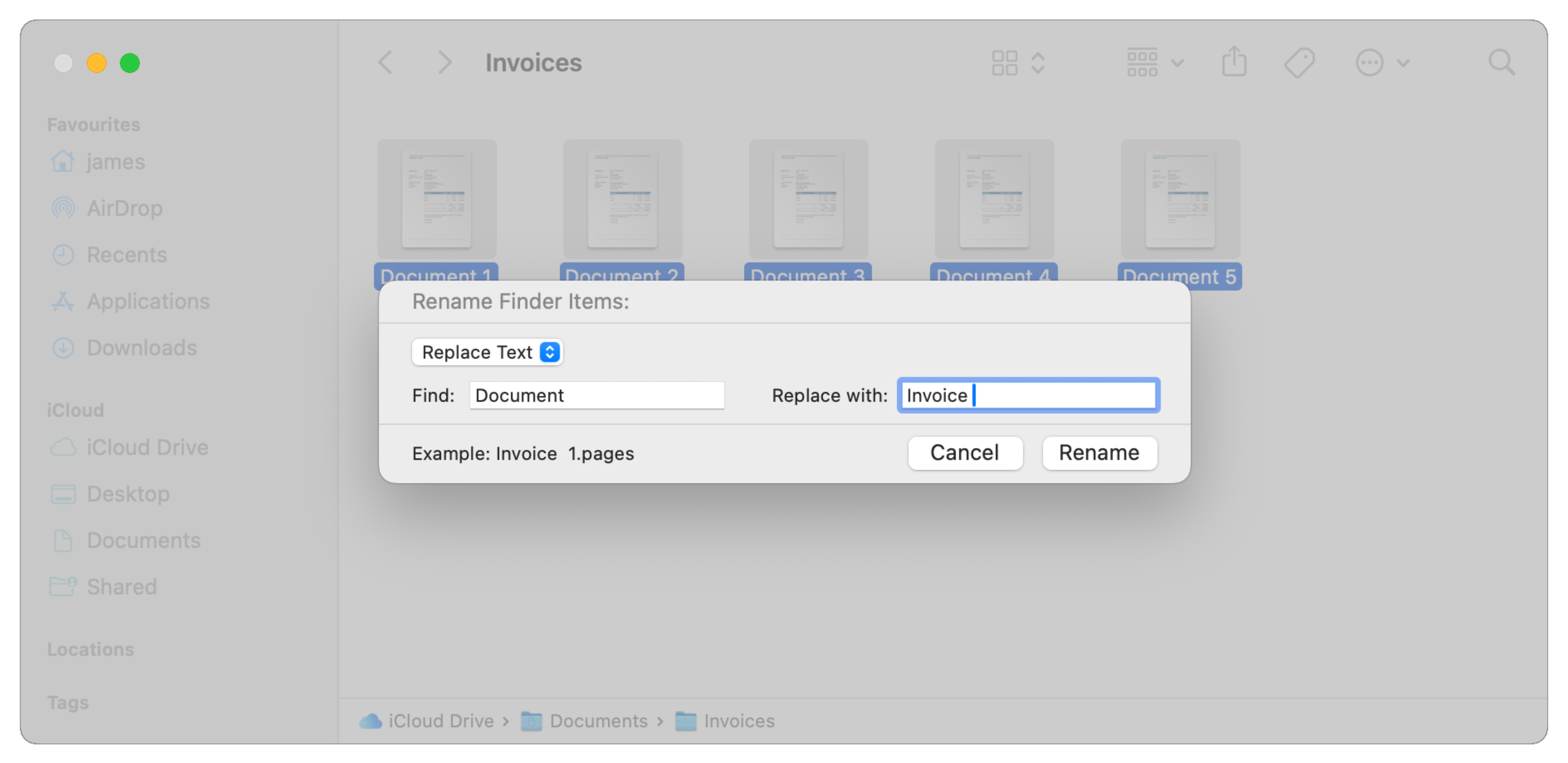 The Rename box with the Replace Text option selected.