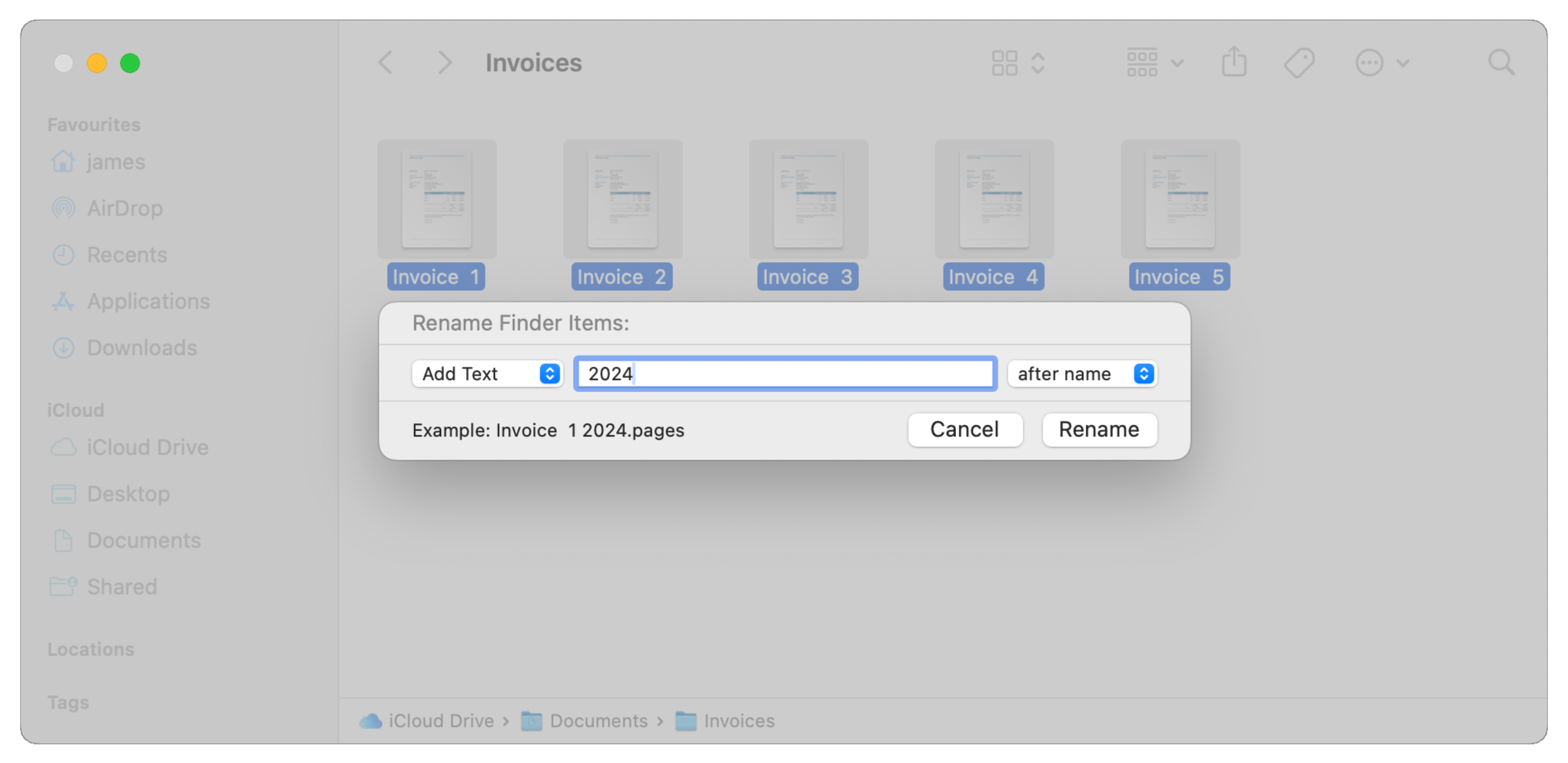 The Rename box with the Add Text option selected.